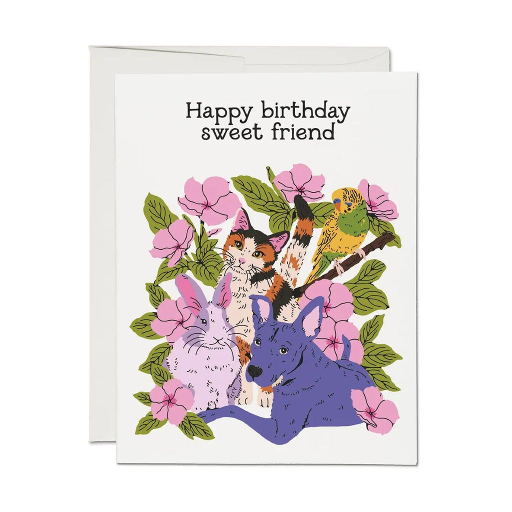 Sweet Friend Birthday Card Red Cap Cards Cards - Birthday