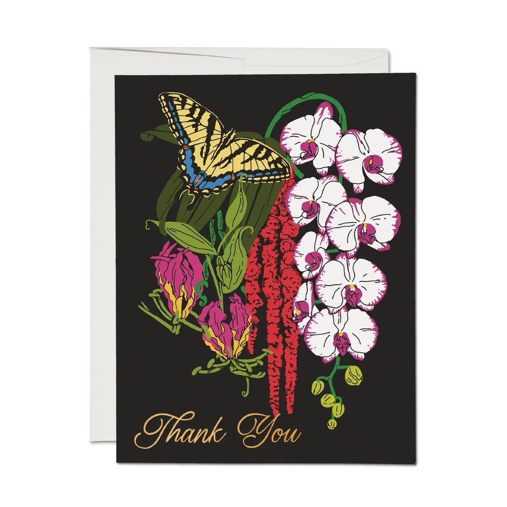 Swallowtail Thank You Card Red Cap Cards Cards - Thank You