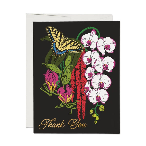 Swallowtail Thank You Card Red Cap Cards Cards - Thank You