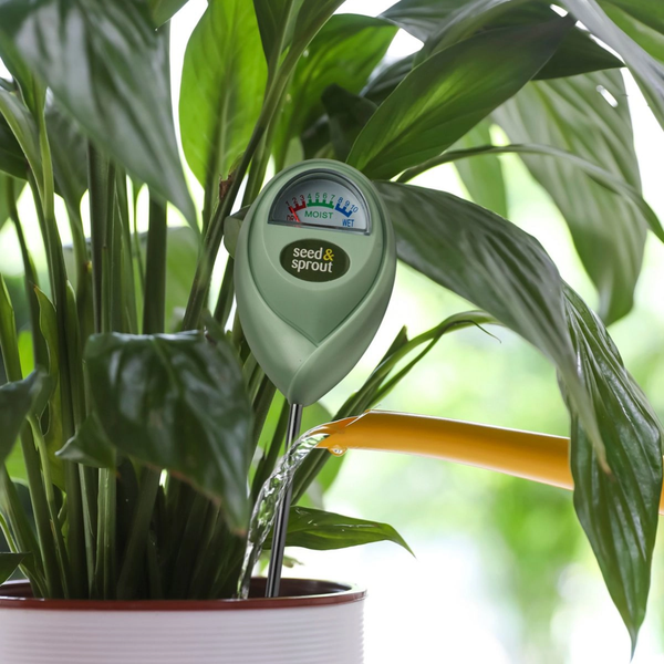 soil moisture meter for outdoor plants Seed & Sprout Potted Plant Moisture Meter