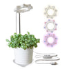 Seed N Sprout Bloomie Indoor Grow Light Seed & Sprout Home - Garden