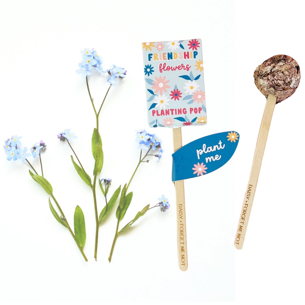Friendship Planting Seed Pop Sow The Magic Home - Garden - Plant & Herb Growing Kits