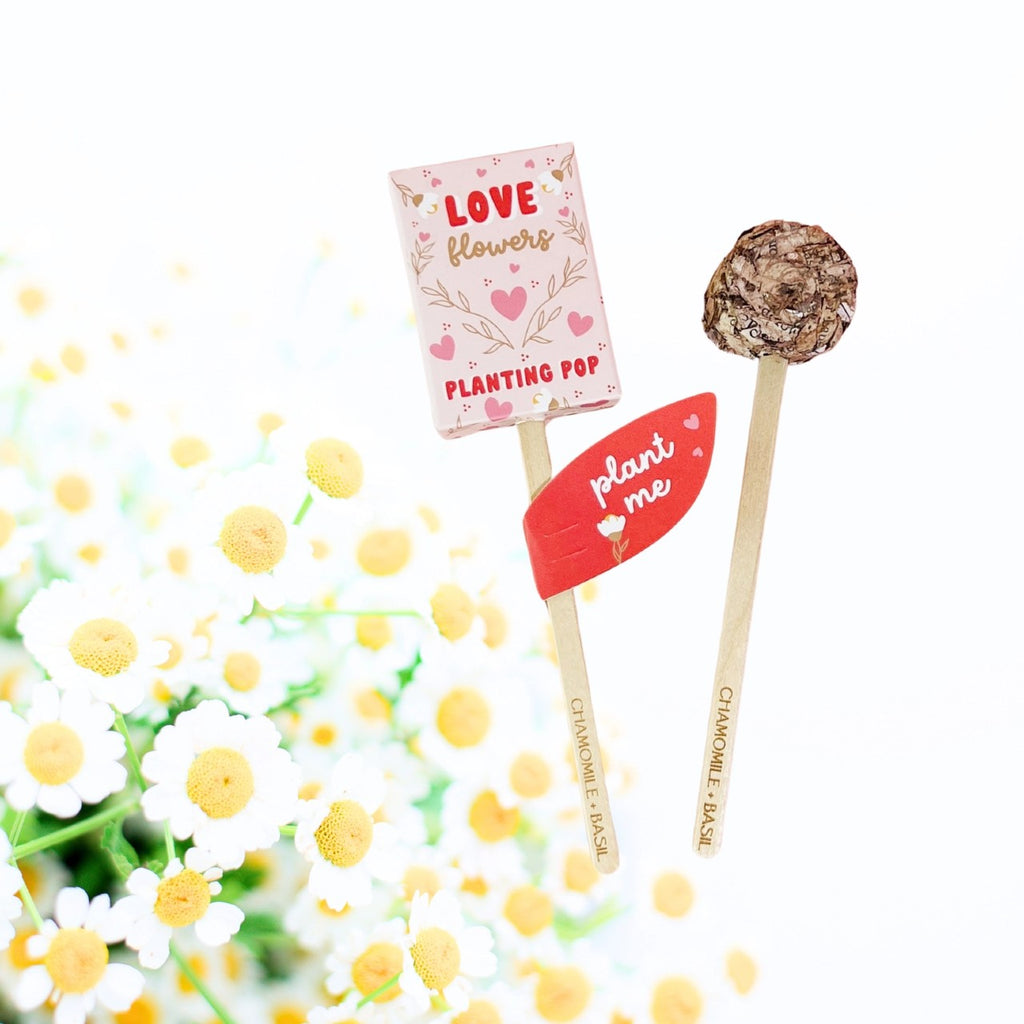 Love Planting Seed Pop Sow The Magic Home - Garden - Plant & Herb Growing Kits