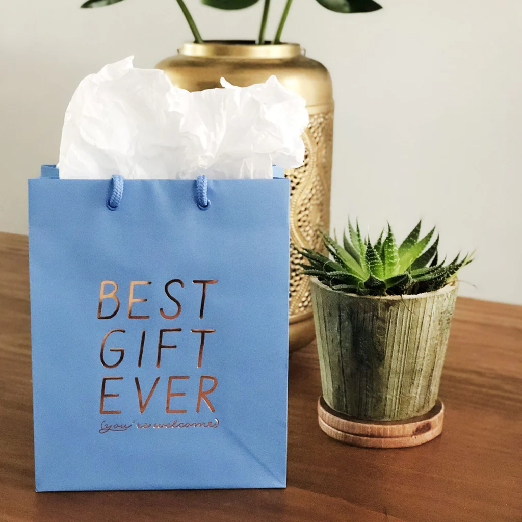 Best Gift Ever Gift Bag Steel Petal Press Gift Wrap & Packaging - Gift Bags