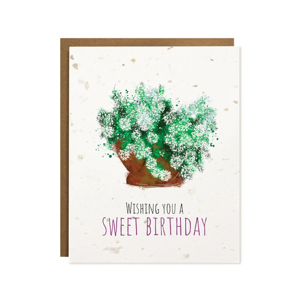 Sweet Birthday Plantable Birthday Card The Card Bureau Cards - Birthday