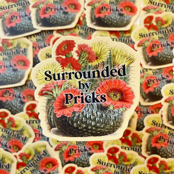 Surrounded By Pricks Cactus Sticker The Coin Laundry Impulse - Decorative Stickers
