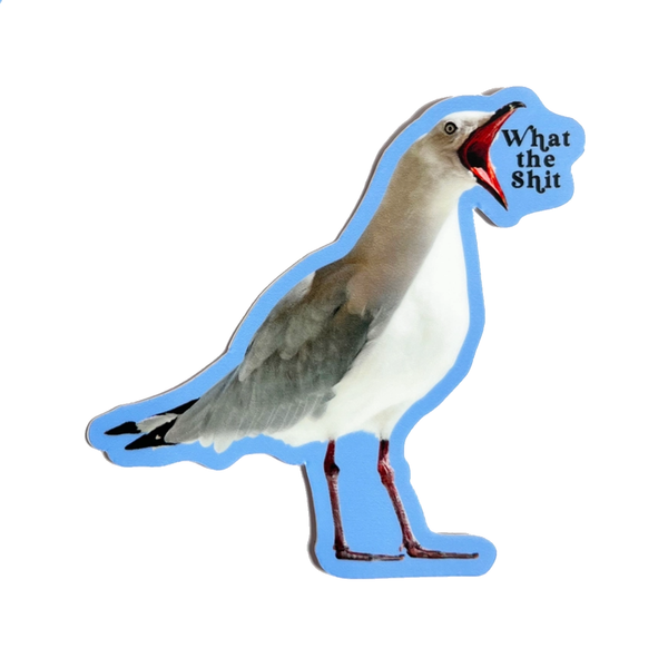 What The Shit Bird Sticker The Coin Laundry Impulse - Decorative Stickers