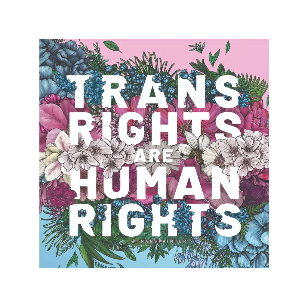 Trans Rights Are Human Rights Sticker – Urban General Store