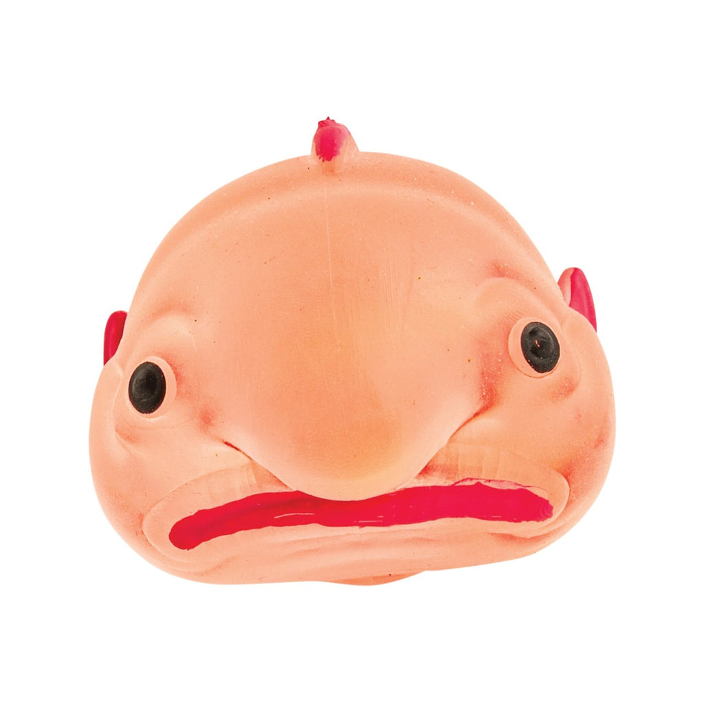 Sugar Trail Blobfish Squeezy Toy US Toy Toys & Games