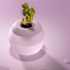 The Hydropod Hydroponic Set W&P Home - Garden - Plant & Herb Growing Kits