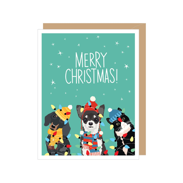 Holiday Pets With Christmas Lights Christmas Card - Boxed Set Of 8 Apartment 2 Cards Cards - Boxed Cards - Holiday - Christmas