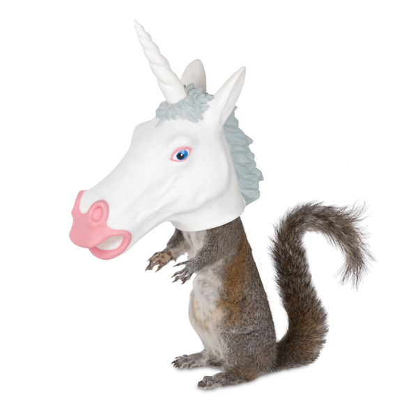 Unicorn Head Squirrel Feeder Archie McPhee Home - Garden - Bird & Wildlife Feeders