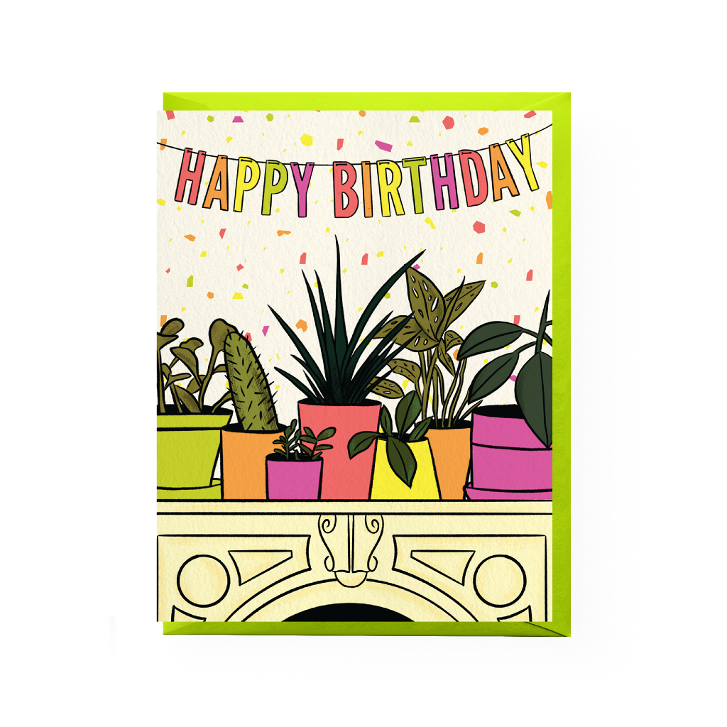 House Plant Birthday Card Boss Dotty Paper Co Cards - Birthday