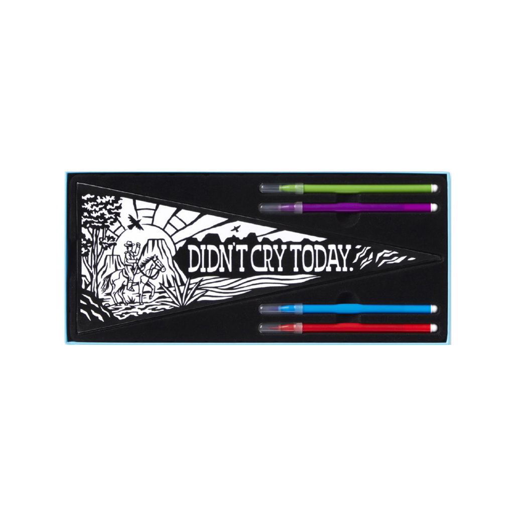 Small Victories Magic Velvet Pennant Coloring Set Brass Monkey Books - Coloring