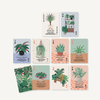House Plants Playing Cards Chronicle Books - Ridley's Games Toys & Games - Card Decks & Games