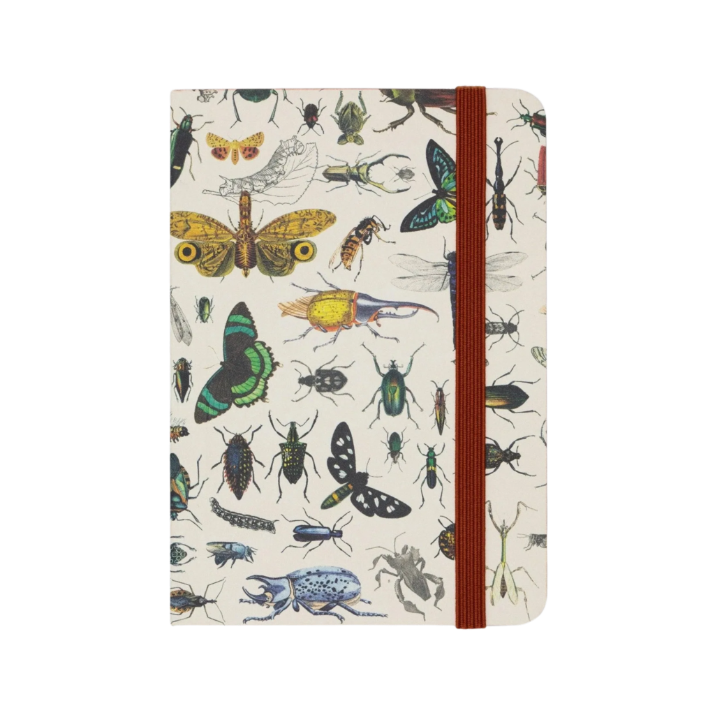 Butterflies &amp; Beetles Softcover Notebook Cognitive Surplus Books - Blank Notebooks & Journals