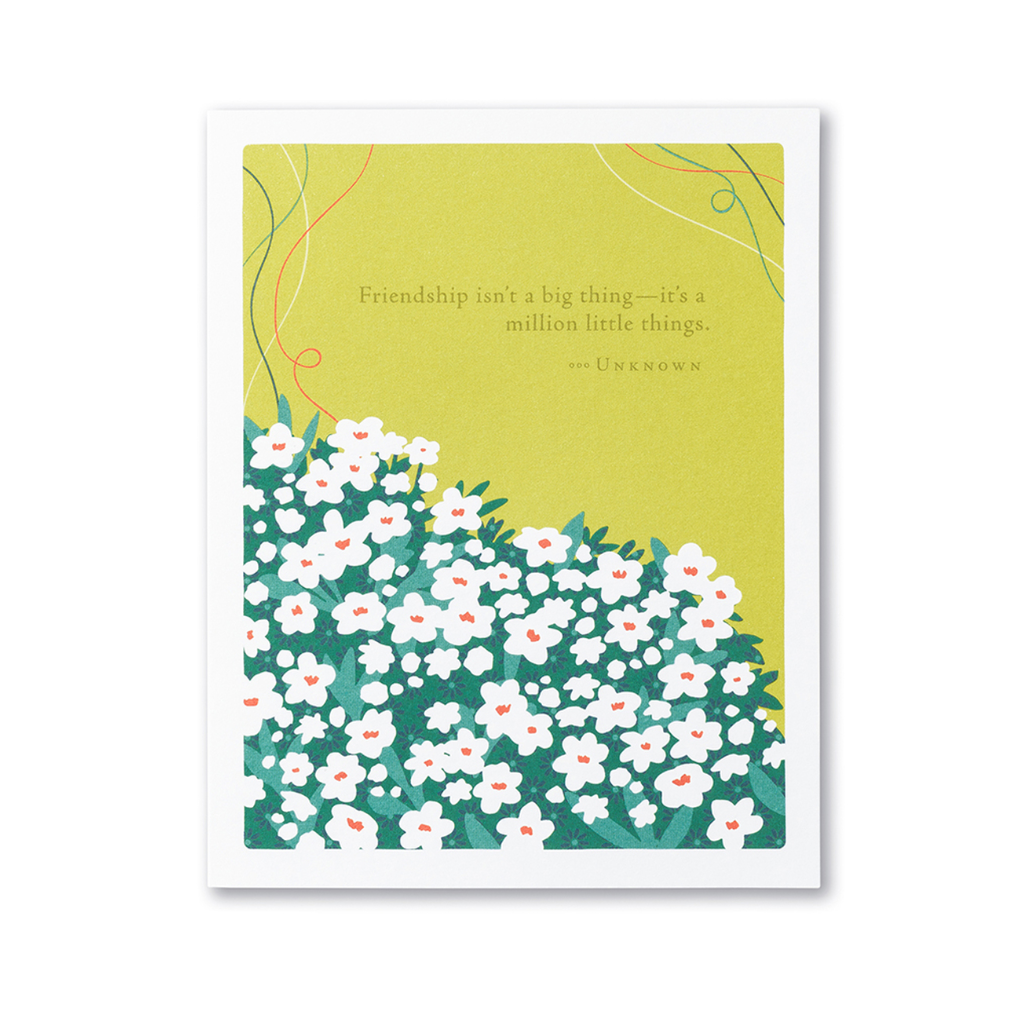 Friendship Is… A Million Little Things Friendship Card Compendium Cards - Birthday
