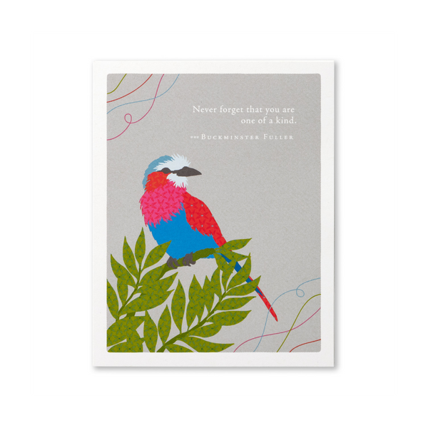 Never Forget Parrot Birthday Card Compendium Cards - Birthday