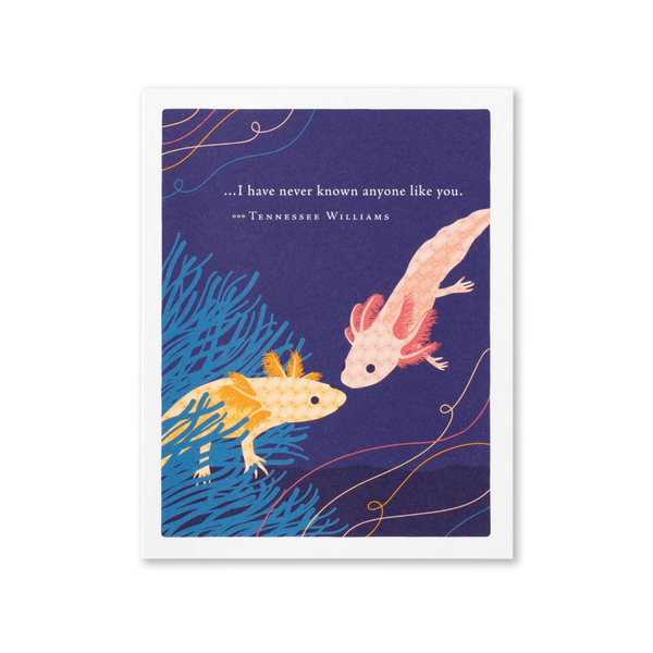Never Known Anyone Like You Axolotls Friendship Card Compendium Cards - Friendship
