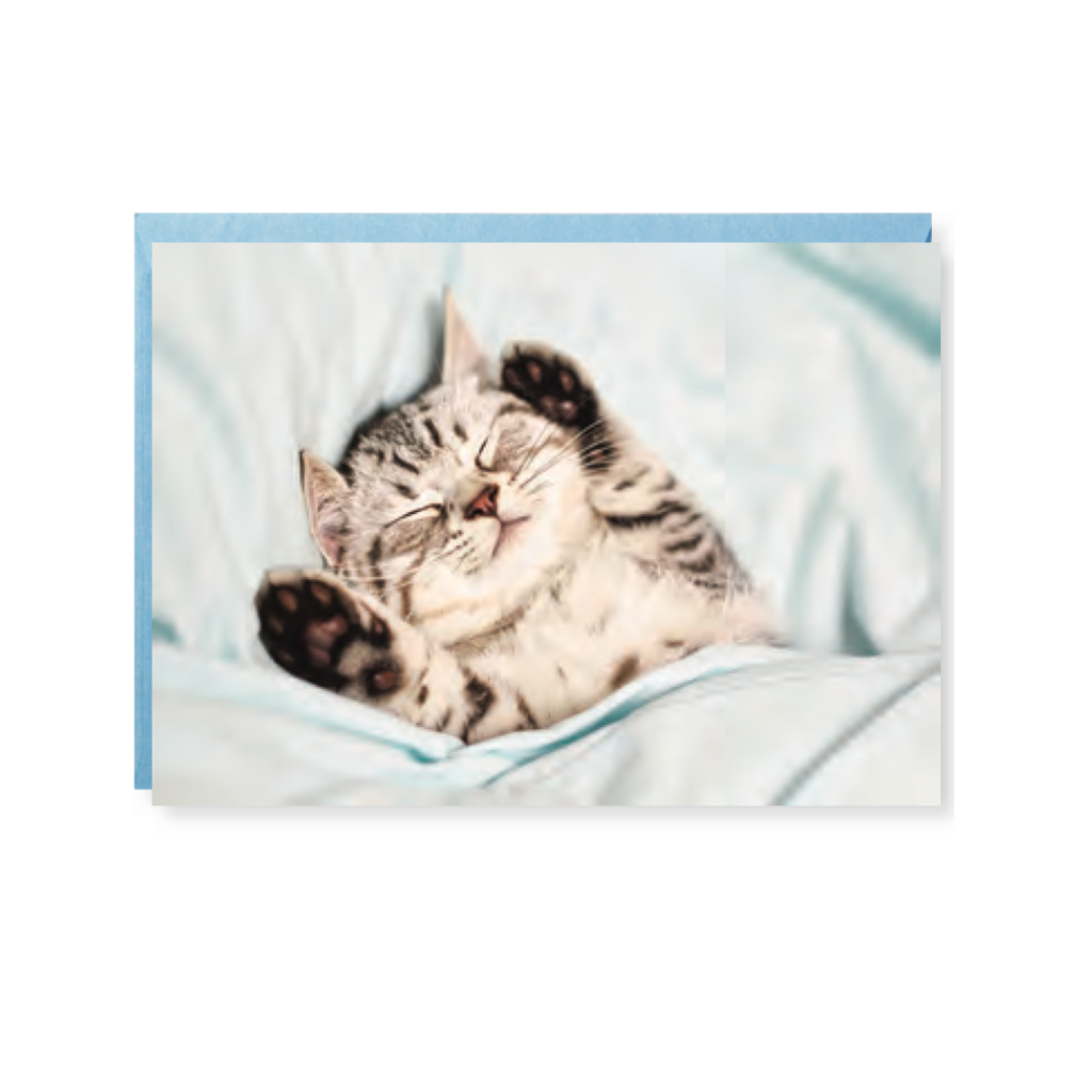 Snoozing Kitten Mother's Day Card Design Design Cards - Holiday - Mother's Day