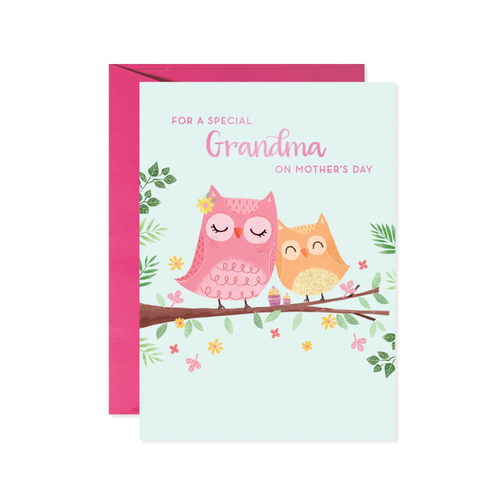 Grandma And Young Owl Mother's Day Card Design Design Holiday Cards - Holiday - Mother's Day