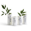 Say It With Flower Vases East of India Home - Garden - Vases & Planters