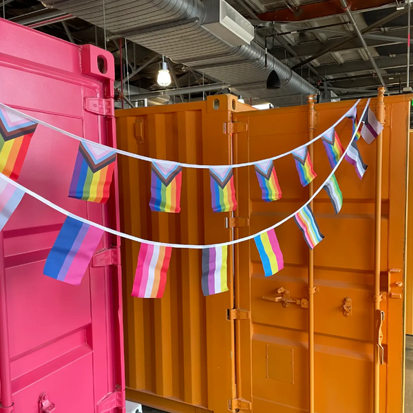 Party Pack Pride Flag Bunting Flags For Good Home