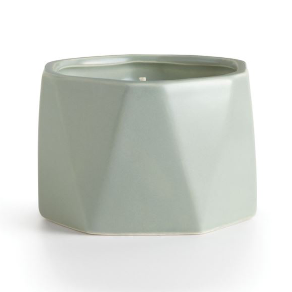Essentials Candle Dylan Ceramic Candle - Santal Fig Illume Home - Candles - Specialty