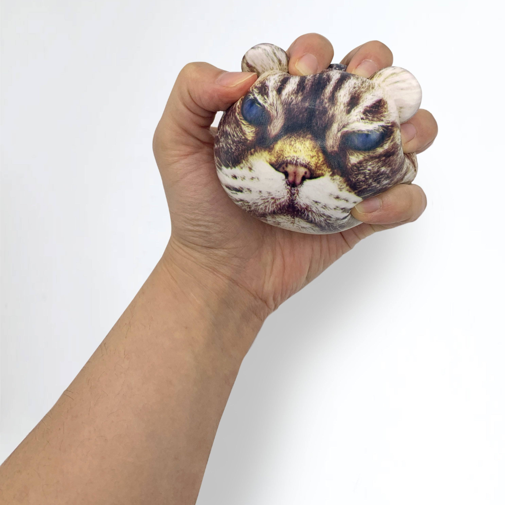 Feline Fine Cat Stress Balls Kikkerland Toys & Games