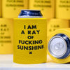 I Am A Ray Of F*cking Sunshine Can Cooler Meriwether Home - Mugs & Glasses - Koozies