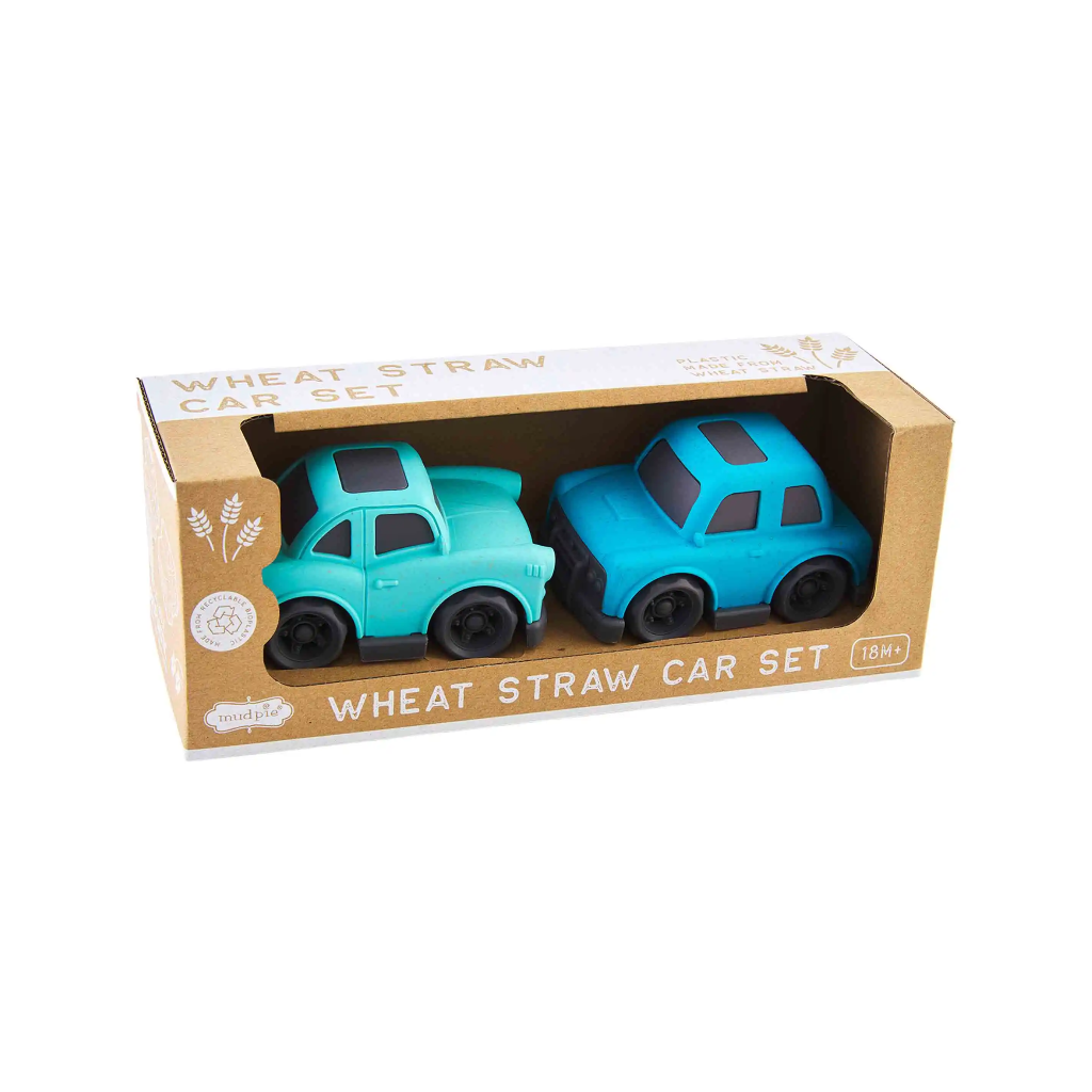 Blue/Green Wheat Straw Toy Car Set Mud Pie Baby & Toddler - Baby Toys & Activity Equipment