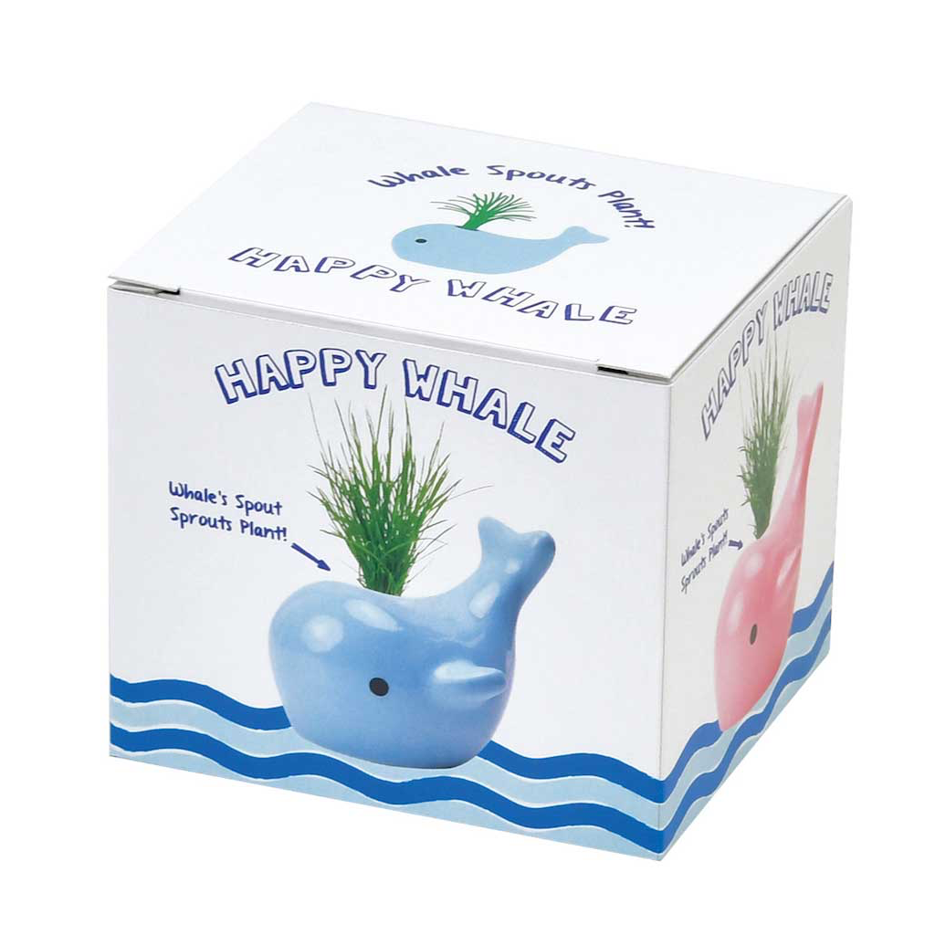 Happy Whale Planters Noted Home - Garden - Plant & Herb Growing Kits