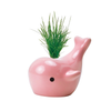 PINK Happy Whale Planters Noted Home - Garden - Plant & Herb Growing Kits