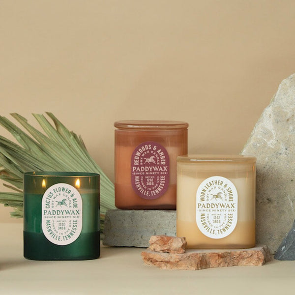 Vista Candles Collection - 12oz. Paddywax Home - Candles - Specialty