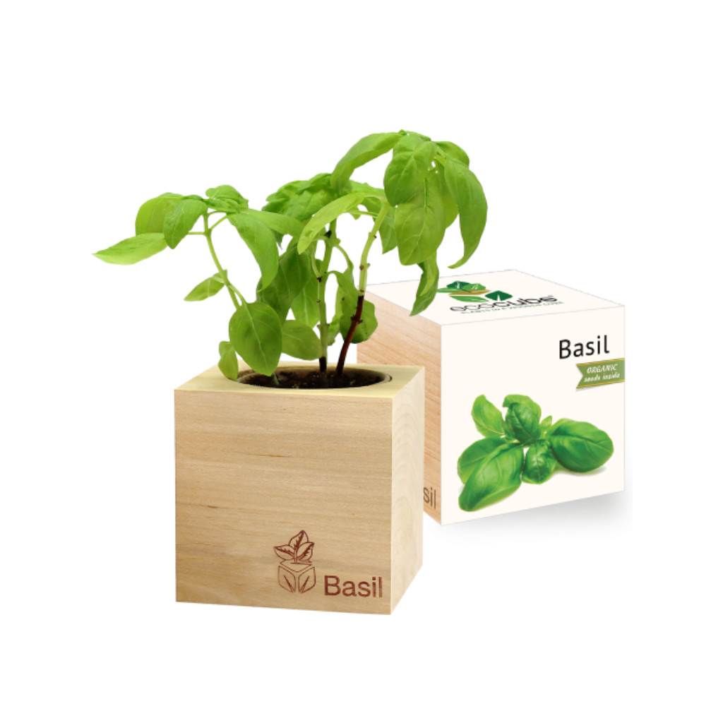 Basil Grow Kit Sprigbox Home - Garden - Plant & Herb Growing Kits