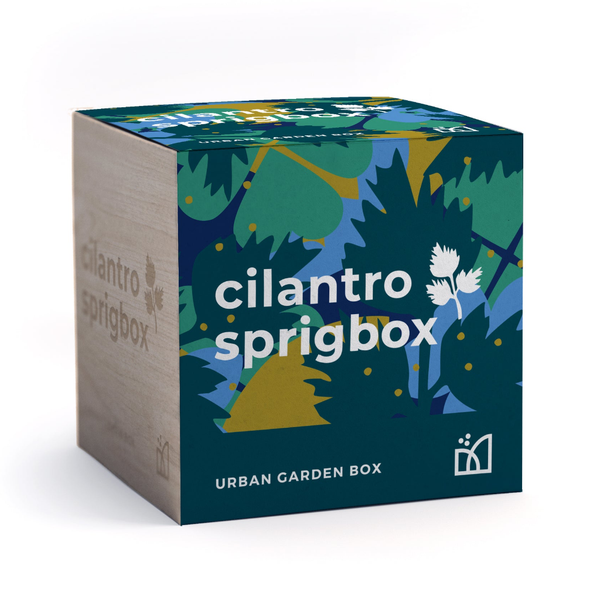Cilantro Grow Kit Sprigbox Home - Garden - Plant & Herb Growing Kits