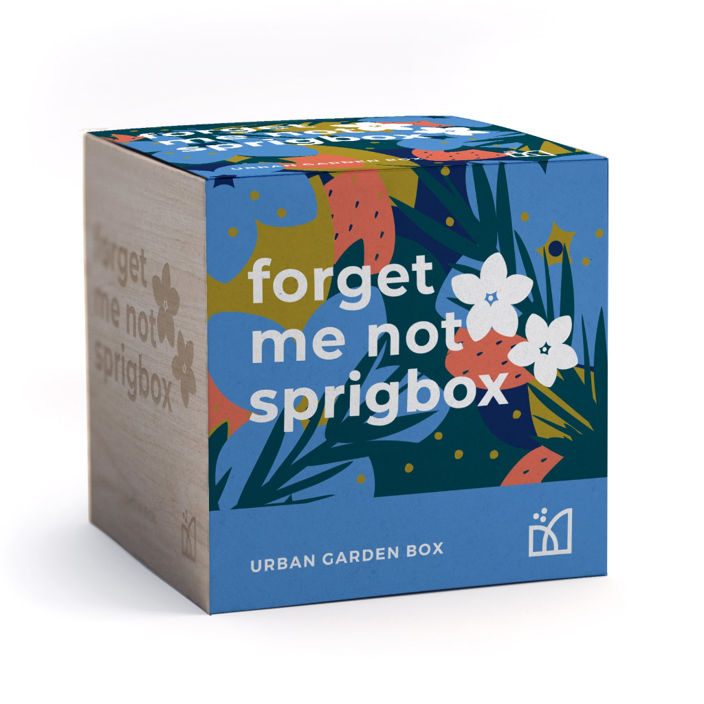 Forget Me Not Grow Kit Sprigbox Home - Garden - Plant & Herb Growing Kits