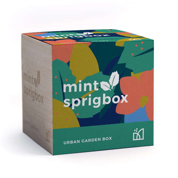 Mint Grow Kit Sprigbox Home - Garden - Plant & Herb Growing Kits