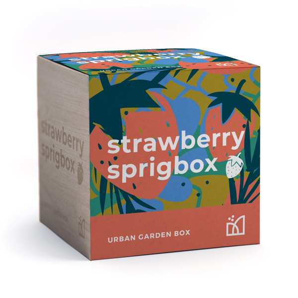 Strawberry Grow Kit Sprigbox Home - Garden - Plant & Herb Growing Kits