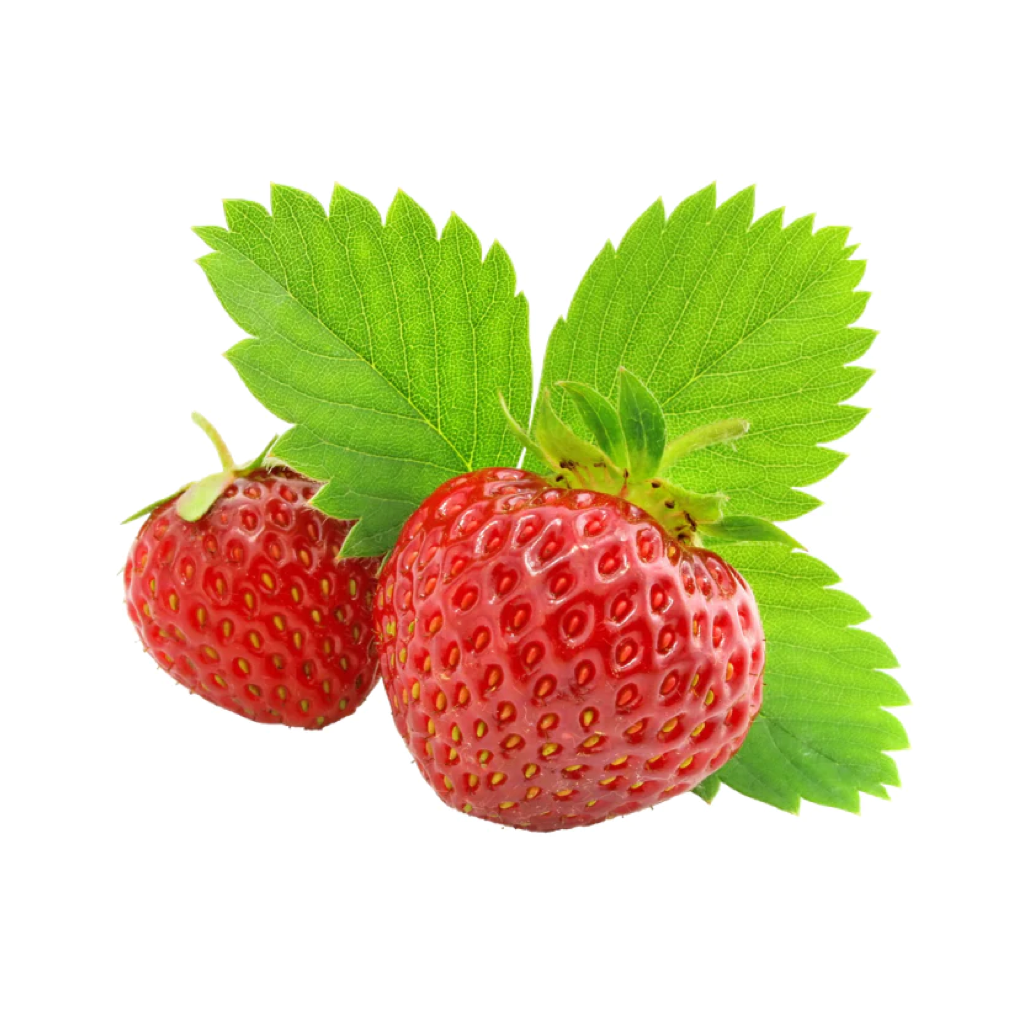 Strawberry Grow Kit Sprigbox Home - Garden - Plant & Herb Growing Kits