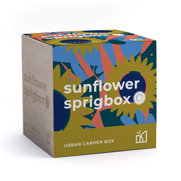 Sunflower Grow Kit Sprigbox Home - Garden - Plant & Herb Growing Kits