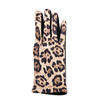 CAMEL LEOPARD Ellie Leopard Print Gloves - Womens Top It Off Apparel & Accessories - Winter - Adult - Gloves & Mittens